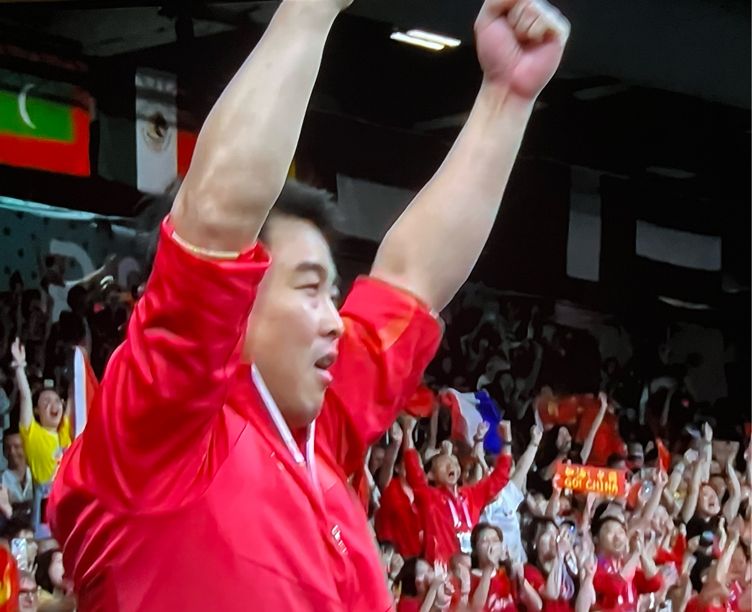 德国乒乓球队血洗法国乒乓球队，王皓制霸全场的简单介绍