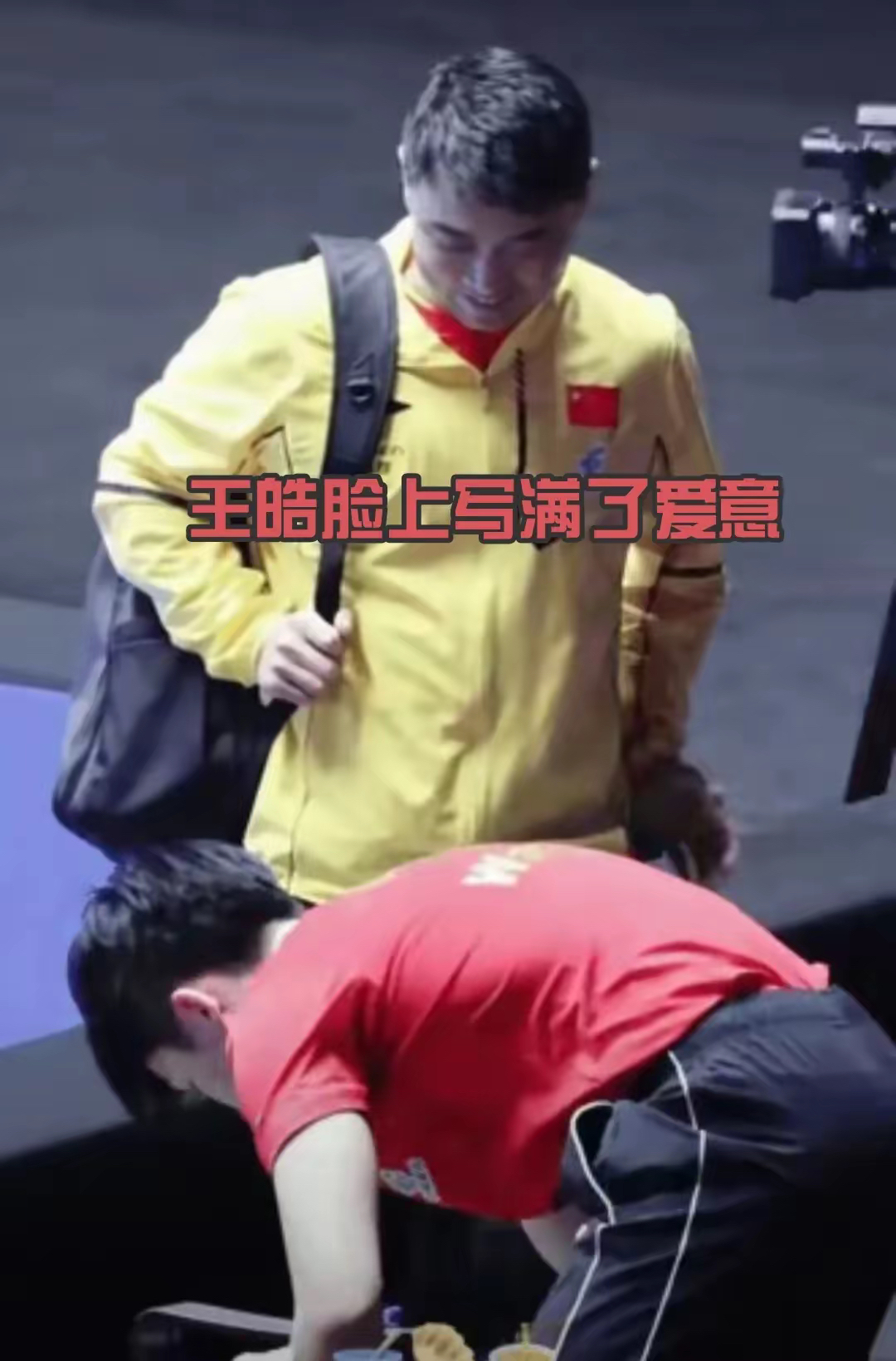 德国乒乓球队血洗法国乒乓球队，王皓制霸全场的简单介绍