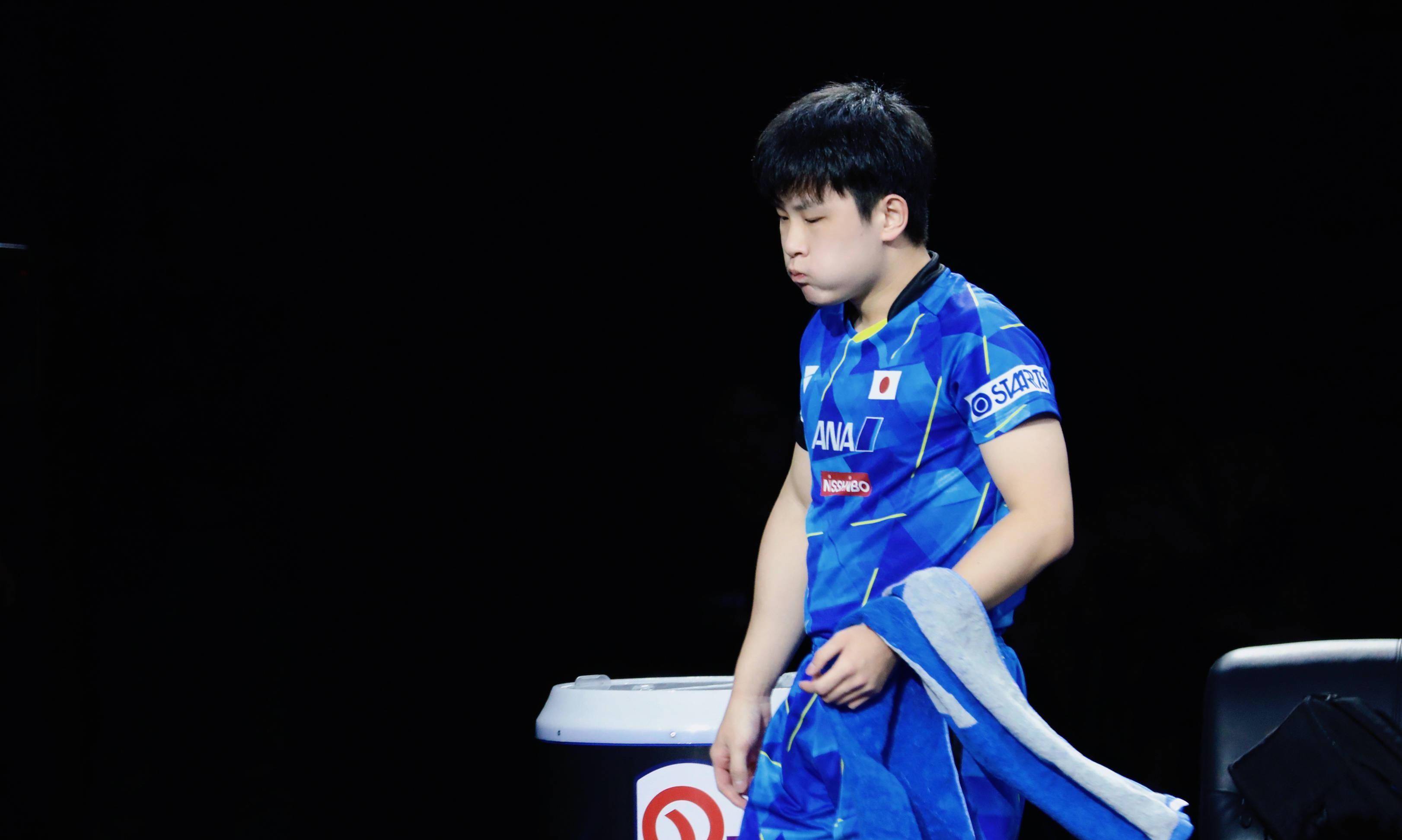 关于瑞典乒乓球队血洗日本乒乓球队，张本智和惊艳世界的信息