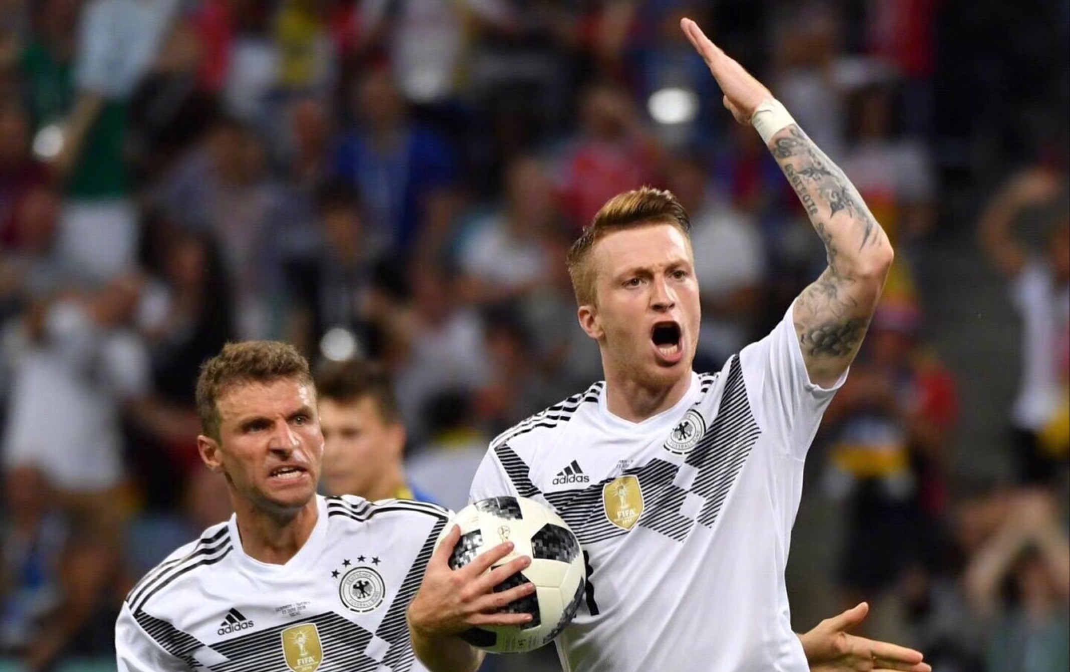 日本队轻取德国队，黄鸭组合扛起全队的简单介绍